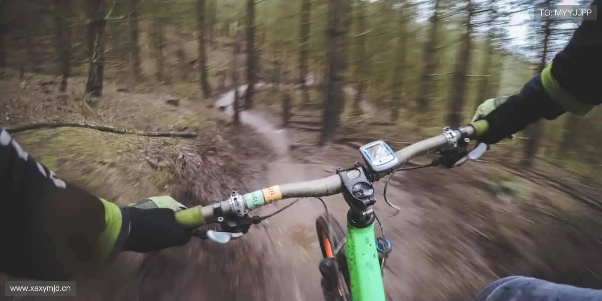 📱 实时比分、精彩回放,