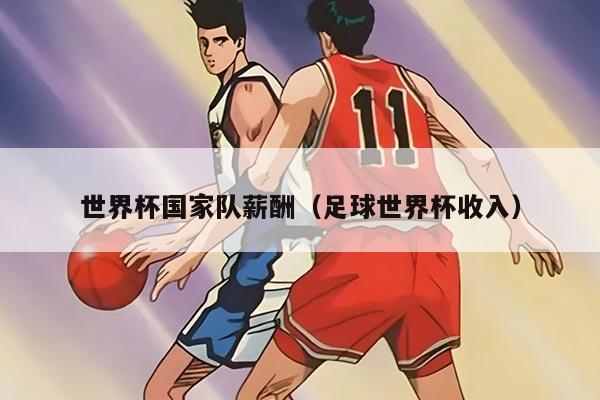 世界杯国家队薪酬（足球世界杯收入）