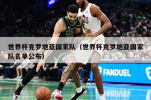 世界杯克罗地亚国家队（世界杯克罗地亚国家队名单公布）