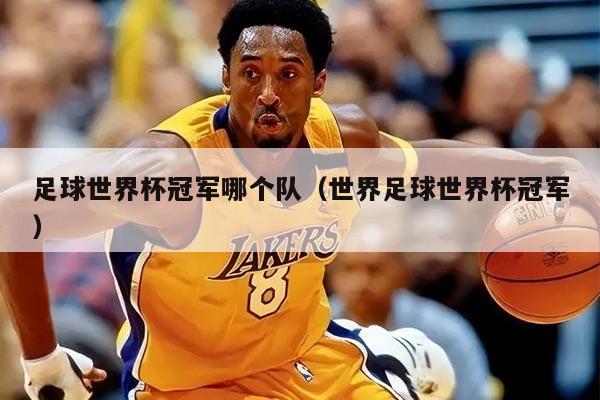 足球世界杯冠军哪个队（世界足球世界杯冠军）
