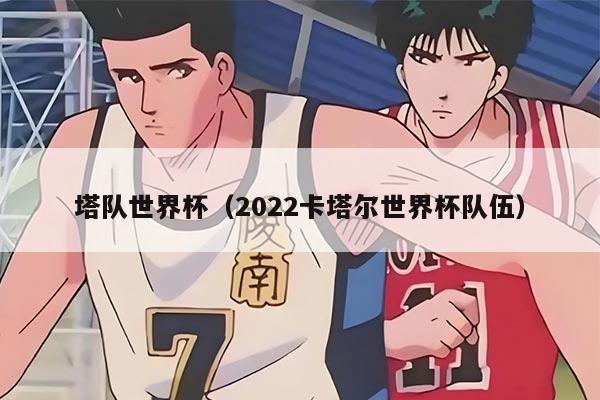 塔队世界杯（2022卡塔尔世界杯队伍）