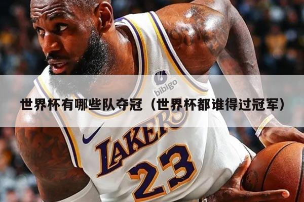 世界杯有哪些队夺冠（世界杯都谁得过冠军）