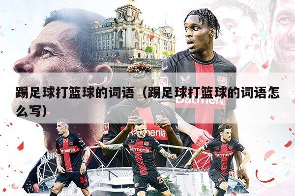 踢足球打篮球的词语（踢足球打篮球的词语怎么写）