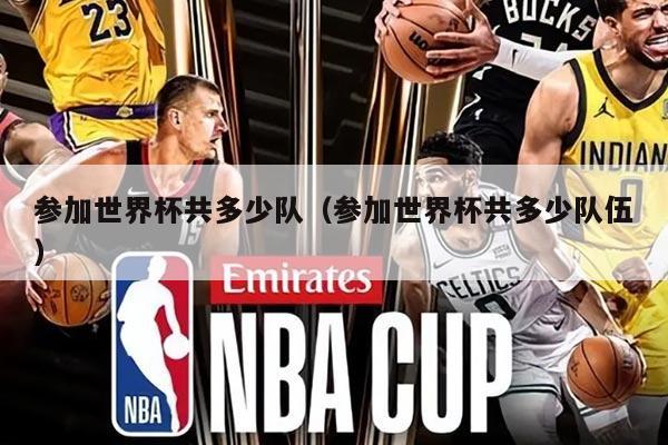 参加世界杯共多少队（参加世界杯共多少队伍）
