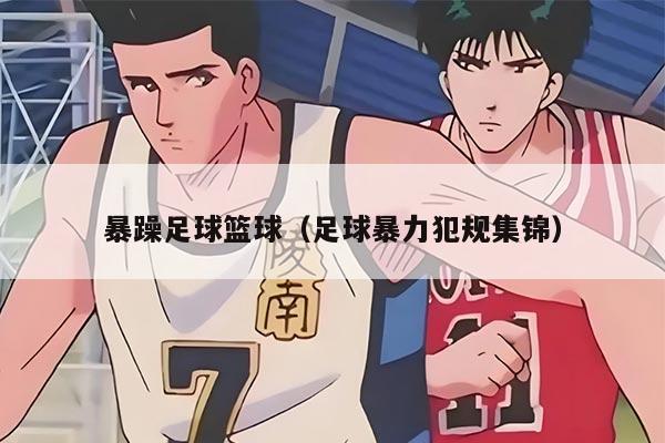 暴躁足球篮球（足球暴力犯规集锦）