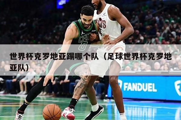 世界杯克罗地亚踢哪个队（足球世界杯克罗地亚队）