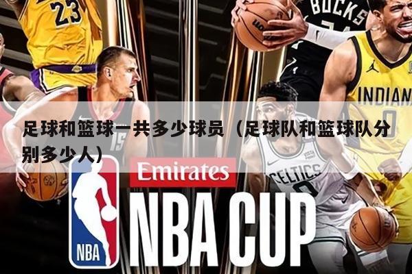 足球和篮球一共多少球员（足球队和篮球队分别多少人）
