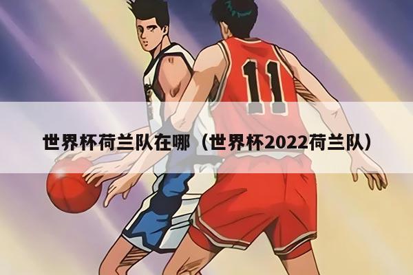 世界杯荷兰队在哪（世界杯2022荷兰队）