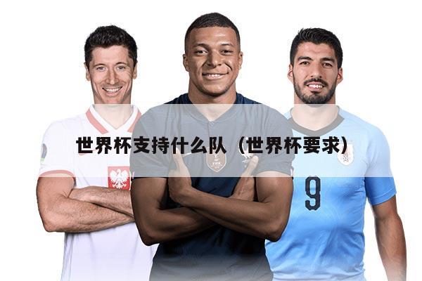 世界杯支持什么队（世界杯要求）