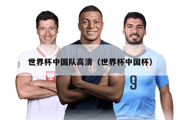 世界杯中国队高清（世界杯中国杯）