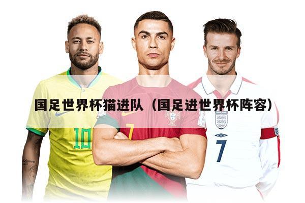 国足世界杯猫进队（国足进世界杯阵容）