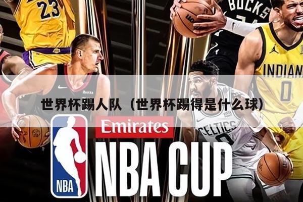 世界杯踢人队（世界杯踢得是什么球）