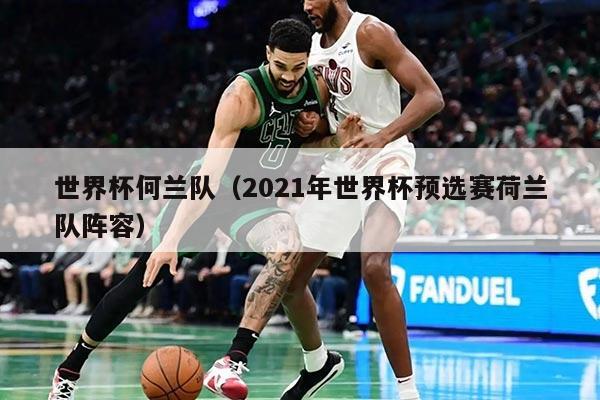 世界杯何兰队（2021年世界杯预选赛荷兰队阵容）