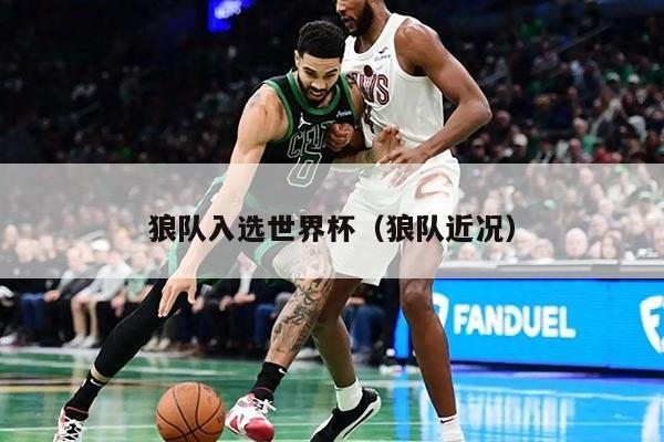 狼队入选世界杯（狼队近况）