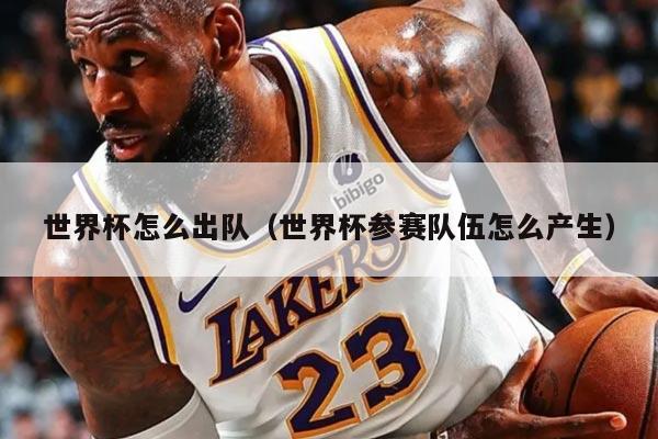 世界杯怎么出队（世界杯参赛队伍怎么产生）