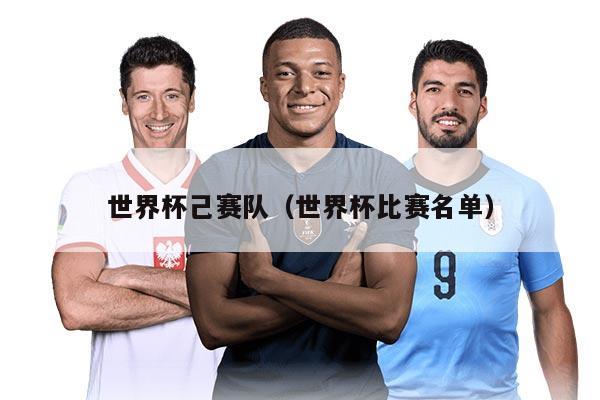 世界杯己赛队（世界杯比赛名单）