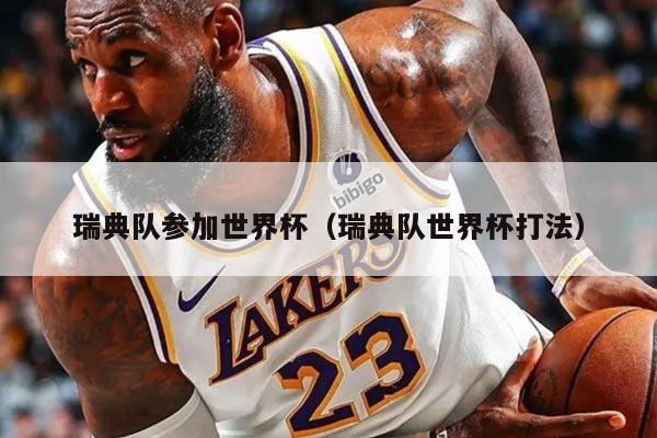 瑞典队参加世界杯（瑞典队世界杯打法）