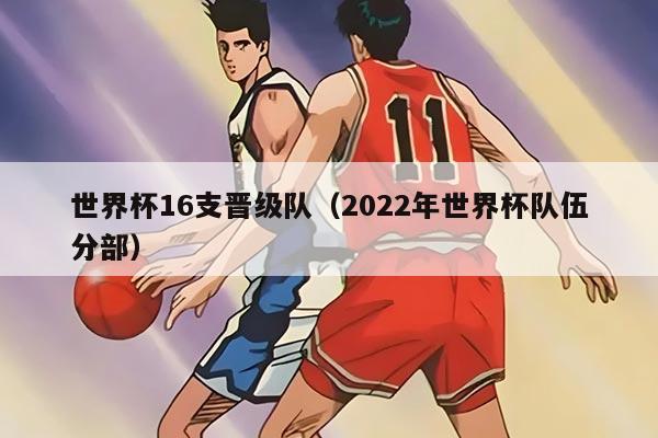 世界杯16支晋级队（2022年世界杯队伍分部）