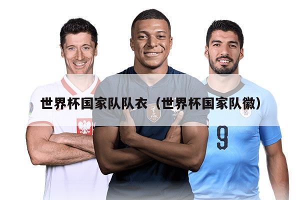 世界杯国家队队衣（世界杯国家队徽）